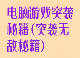 电脑游戏突袭秘籍(突袭无敌秘籍)