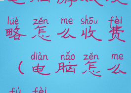 电脑游戏攻略怎么收费(电脑怎么付费)