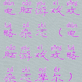 电脑游戏攻略杂志(电脑游戏攻略杂志摩尔)