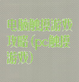 电脑触摸游戏攻略(pc触摸游戏)