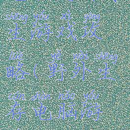 电脑野外求生游戏攻略(野外生存电脑游戏)