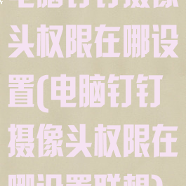 电脑钉钉摄像头权限在哪设置(电脑钉钉摄像头权限在哪设置联想)