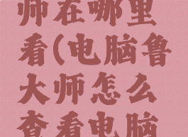 电脑鲁大师在哪里看(电脑鲁大师怎么查看电脑配置信息)