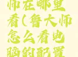 电脑鲁大师在哪里看(鲁大师怎么看电脑的配置参数)