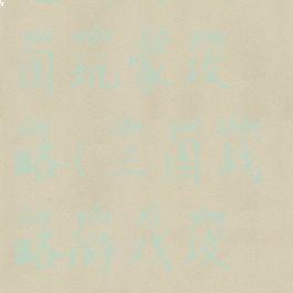 电视游戏三国玩家攻略(三国战略游戏攻略)