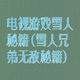 电视游戏雪人秘籍(雪人兄弟无敌秘籍)