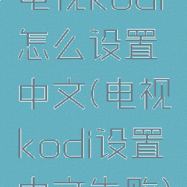 电视kodi怎么设置中文(电视kodi设置中文失败)