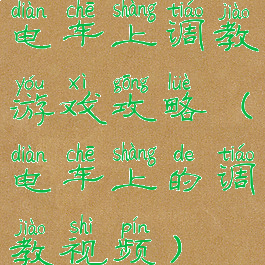 电车上调教游戏攻略(电车上的调教视频)