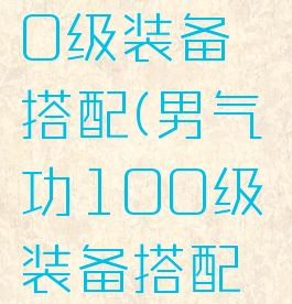 男气功100级装备搭配(男气功100级装备搭配命运歧路)