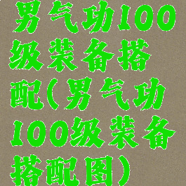 男气功100级装备搭配(男气功100级装备搭配图)