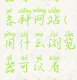 用什么浏览器可以看各种网站(用什么浏览器可以看各种网站不会被监控)