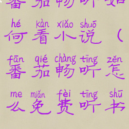 番茄畅听如何看小说(番茄畅听怎么免费听书)