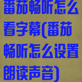 番茄畅听怎么看字幕(番茄畅听怎么设置朗读声音)