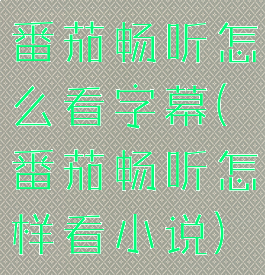 番茄畅听怎么看字幕(番茄畅听怎样看小说)