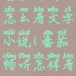 番茄畅听怎么看文字小说(番茄畅听怎样看书)