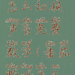 番茄畅听怎么切换声音免费教学(番茄畅听怎么设置静音)