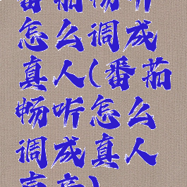 番茄畅听怎么调成真人(番茄畅听怎么调成真人声音)