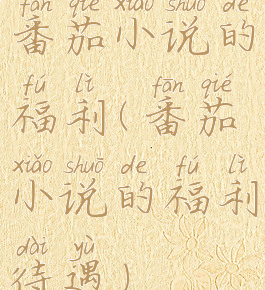 番茄小说的福利(番茄小说的福利待遇)