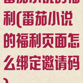 番茄小说的福利(番茄小说的福利页面怎么绑定邀请码)