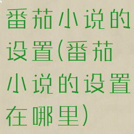 番茄小说的设置(番茄小说的设置在哪里)