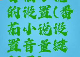 番茄小说的设置(番茄小说设置音量键翻页)