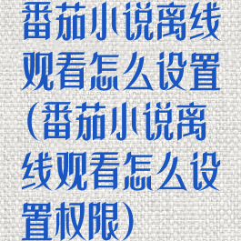番茄小说离线观看怎么设置(番茄小说离线观看怎么设置权限)