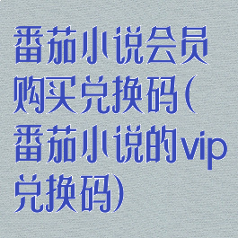 番茄小说会员购买兑换码(番茄小说的vip兑换码)