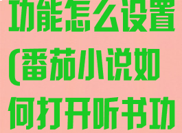 番茄小说听书功能怎么设置(番茄小说如何打开听书功能)