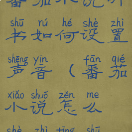 番茄小说听书如何设置声音(番茄小说怎么设置听书)