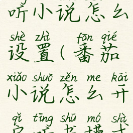 番茄小说听小说怎么设置(番茄小说怎么开启听书模式)