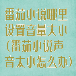 番茄小说哪里设置音量大小(番茄小说声音太小怎么办)