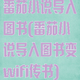番茄小说导入图书(番茄小说导入图书变wifi传书)