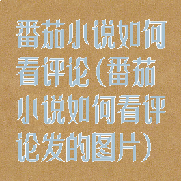番茄小说如何看评论(番茄小说如何看评论发的图片)