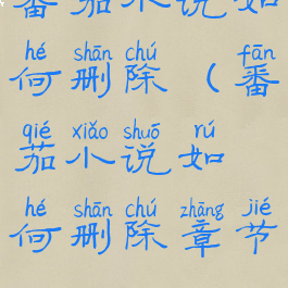 番茄小说如何删除(番茄小说如何删除章节)