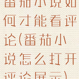 番茄小说如何才能看评论(番茄小说怎么打开评论展示)