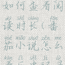 番茄小说如何查看阅读时长(番茄小说怎么看历史记录)