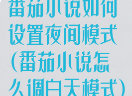 番茄小说如何设置夜间模式(番茄小说怎么调白天模式)