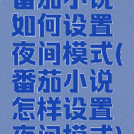 番茄小说如何设置夜间模式(番茄小说怎样设置夜间模式)