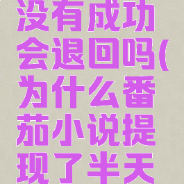 番茄小说微信提现没有成功会退回吗(为什么番茄小说提现了半天还提现不出来)