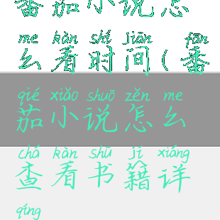 番茄小说怎么看时间(番茄小说怎么查看书籍详情)