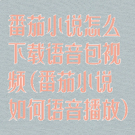 番茄小说怎么下载语音包视频(番茄小说如何语音播放)