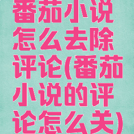 番茄小说怎么去除评论(番茄小说的评论怎么关)