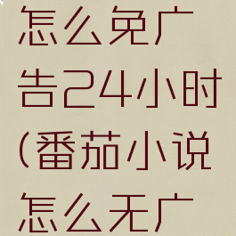 番茄小说怎么免广告24小时(番茄小说怎么无广告)
