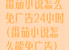 番茄小说怎么免广告24小时(番茄小说怎么能免广告)