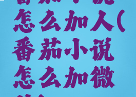 番茄小说怎么加人(番茄小说怎么加微信)