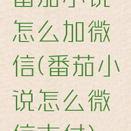 番茄小说怎么加微信(番茄小说怎么微信支付)