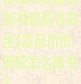 番茄小说怎么听书和看书同步(番茄小说阅读怎么听书)