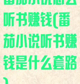 番茄小说怎么听书赚钱(番茄小说听书赚钱是什么套路)