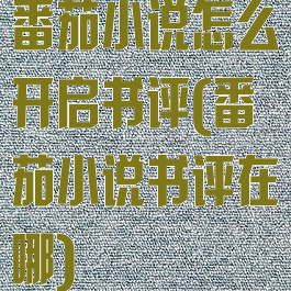 番茄小说怎么开启书评(番茄小说书评在哪)