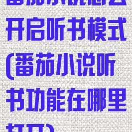 番茄小说怎么开启听书模式(番茄小说听书功能在哪里打开)